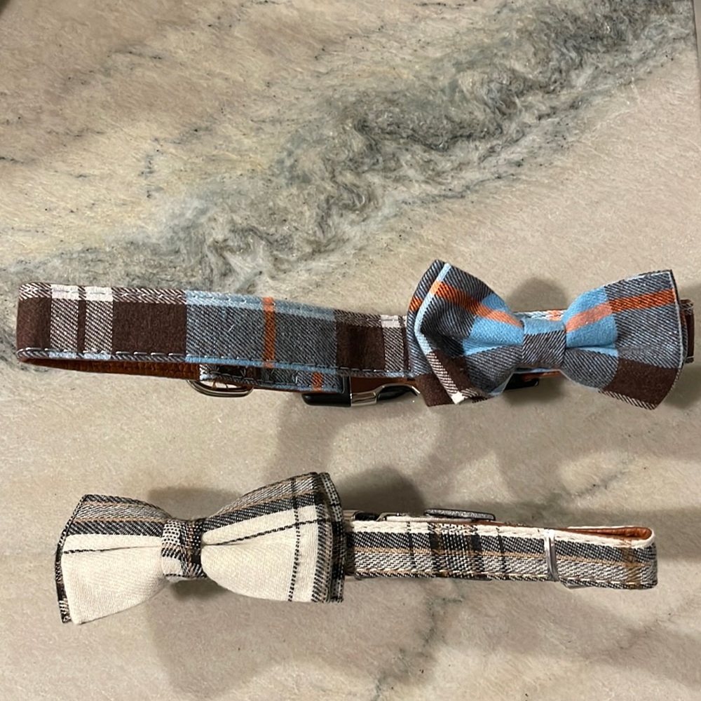 Dog collar bundle 🐶
